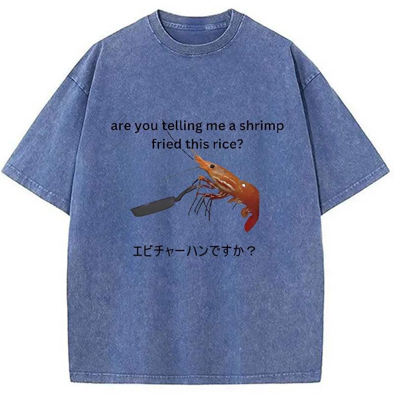 Modecanvas Are You Telling Me a Shrimp Fried This Rice Washed T-Shirt