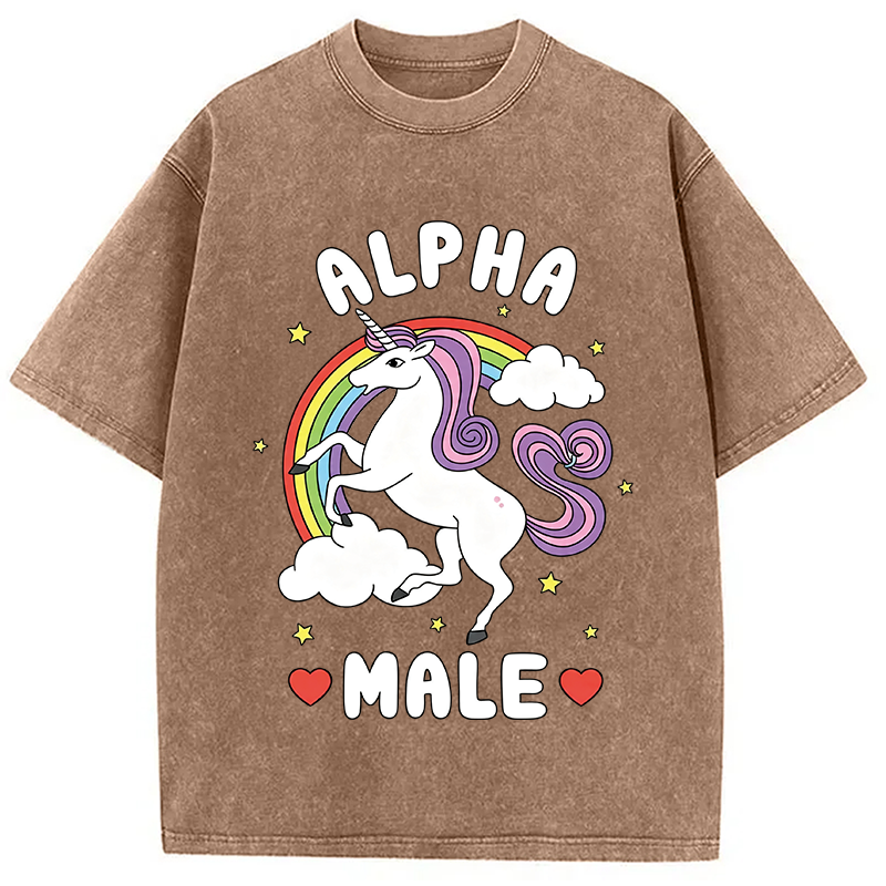 Modecanvas Alpha Male Energy Unicorn DTG Printing Washed T-Shirt