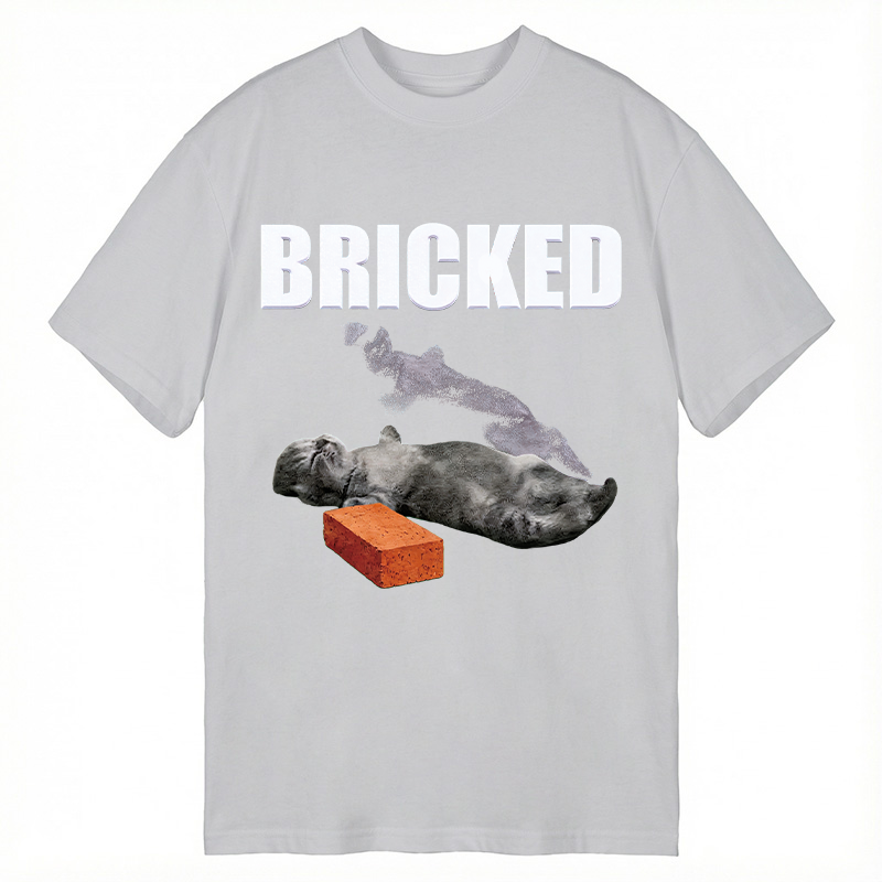 Modecanvas Bricked Funny Cat Knocked Out DTG Printing Classic T-Shirt-modecanvas