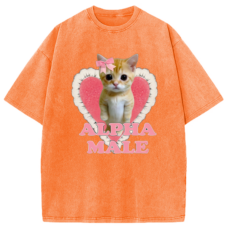 Modecanvas Alpha Male Kitten Washed T-Shirt