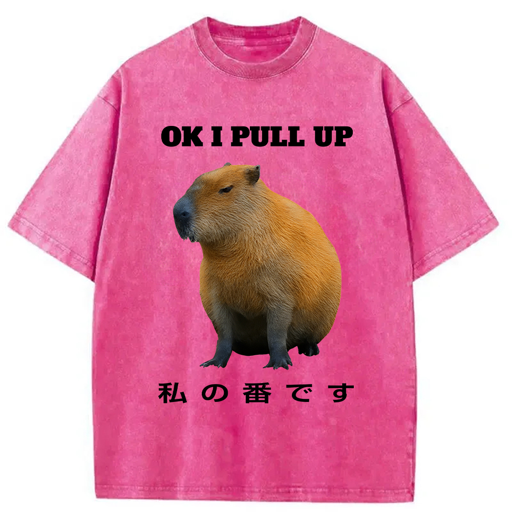 Modecanvas Ok I Pull Up Funny Capybara Washed T-Shirt