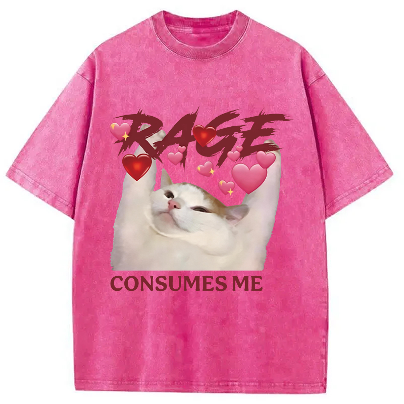 Modecanvas Rage Consumes Me Funny Cat Meme DTG Printing Washed T-Shirt