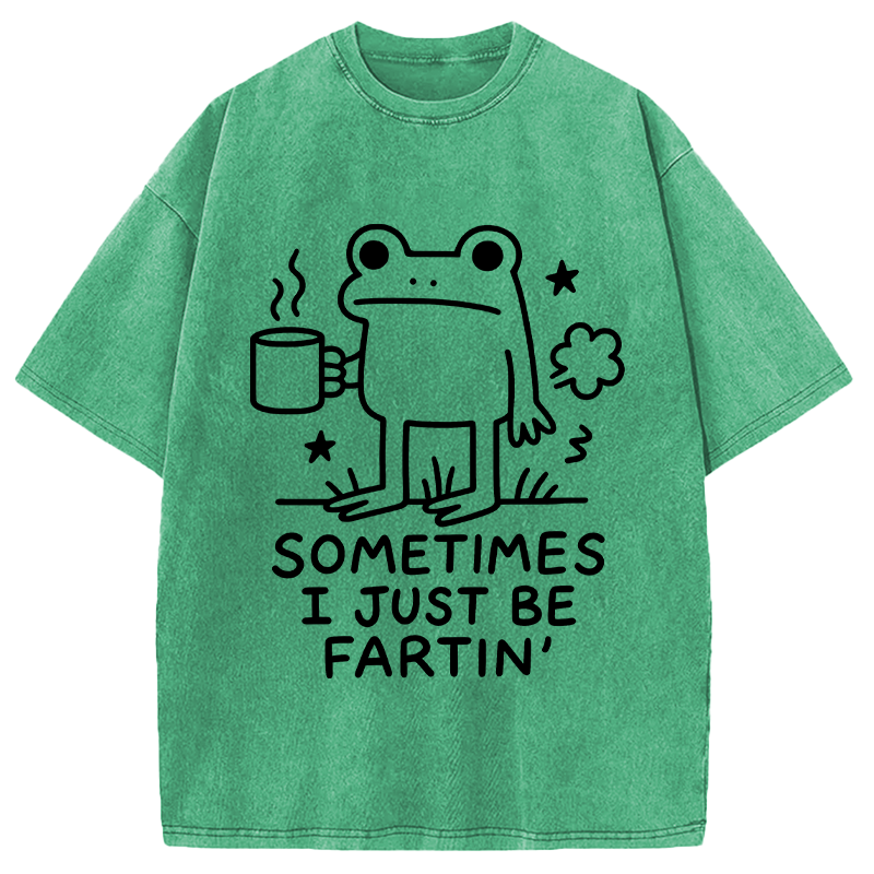 Modecanvas Sometimes A Frog Just Needs To Fart DTG Printing Washed T-Shirt