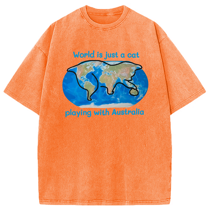 Modecanvas World is Just a Cat DTG Printing Washed T-Shirt