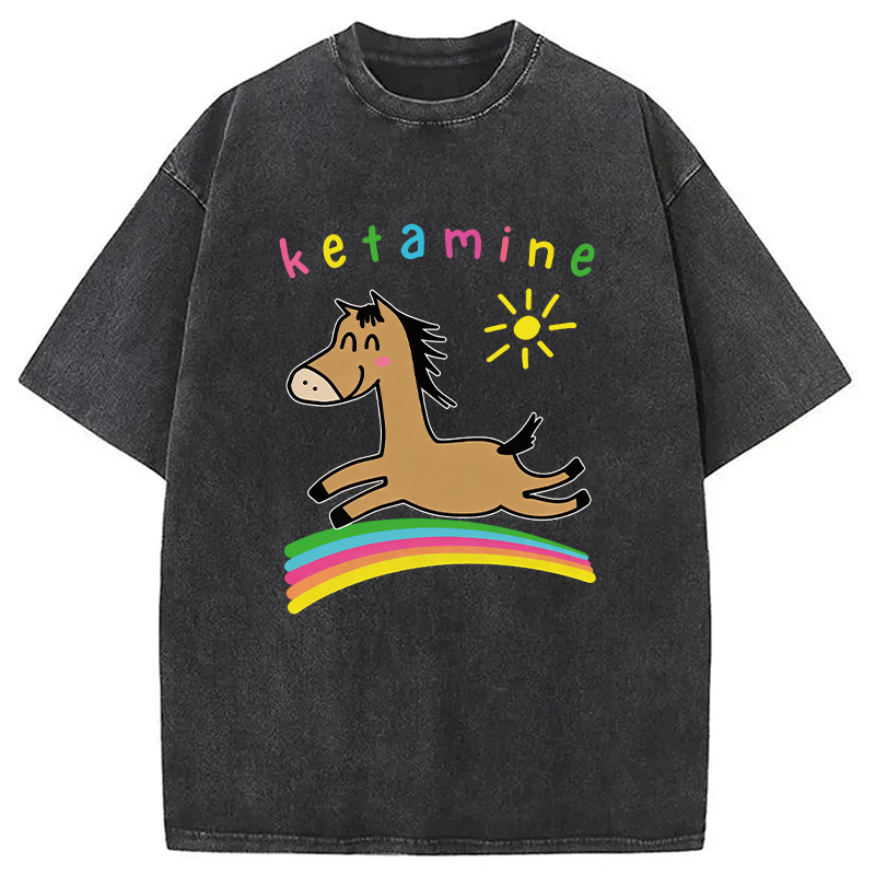 Modecanvas Funny Ketamine Cute Trippy Horse DTG Printing Washed T-Shirt