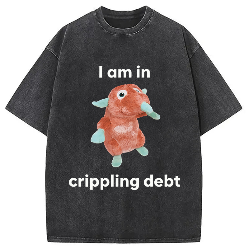Modecanvas I Am In Crippling Debt Funny Meme DTG Printing Washed T-Shirt