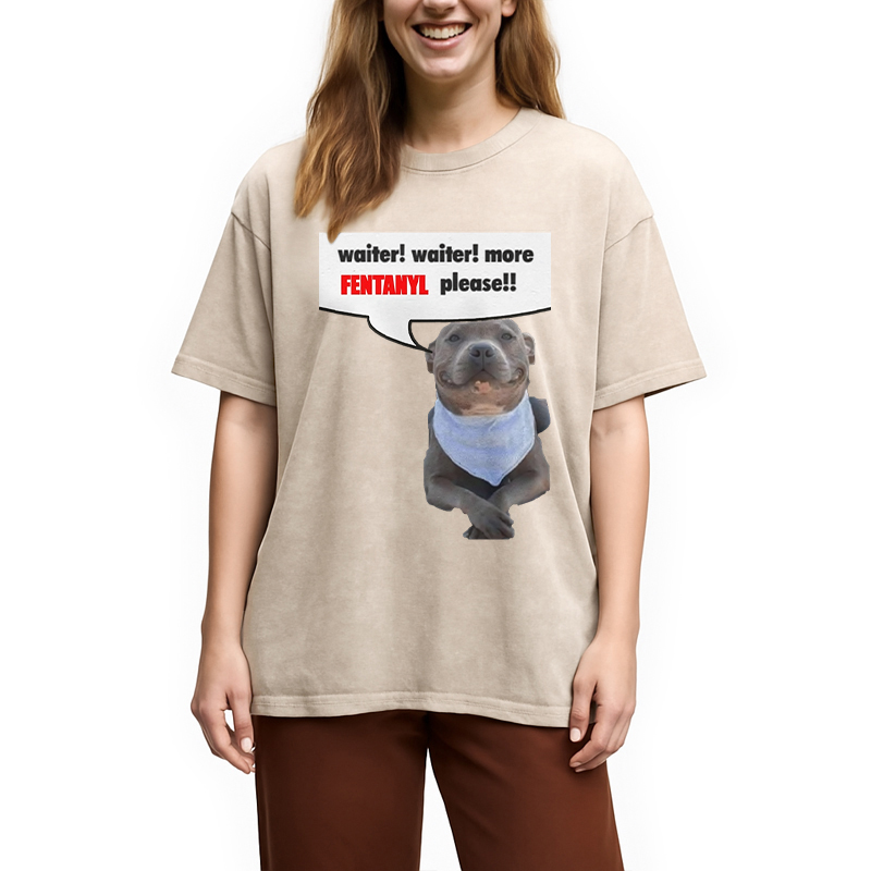 Modecanvas Waiter Waiter More Fentanyl Meme Washed T-Shirt