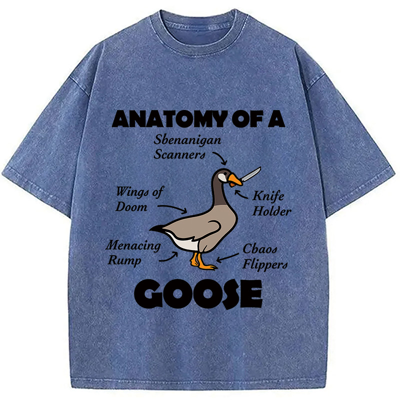 Modecanvas Anatomy of A Goose Washed T-Shirt