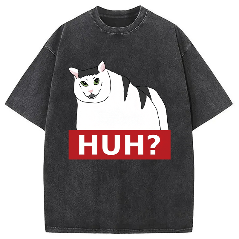 Modecanvas Huh Cat Meme DTG Printing Washed T-Shirt