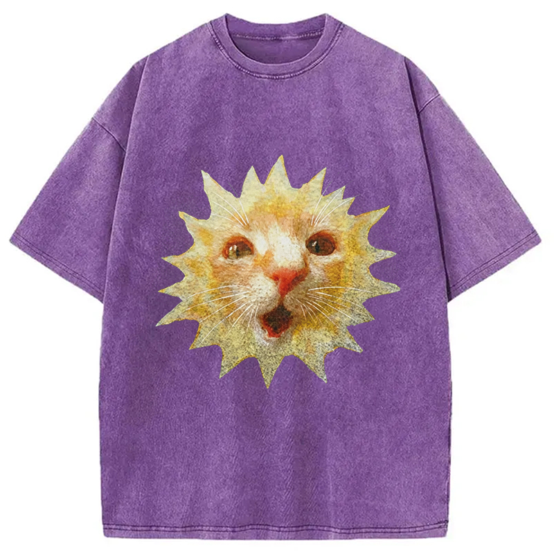 Modecanvas Sun Cat Meme DTG Printing Washed T-Shirt