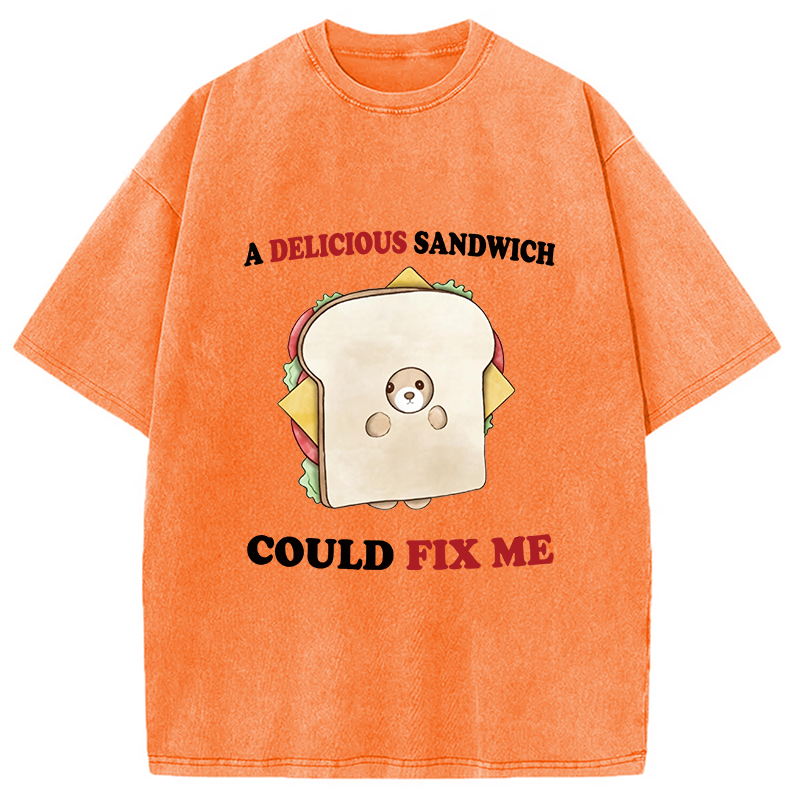 Modecanvas Delicious Sandwich Could Fix Me DTG Printing Washed T-Shirt