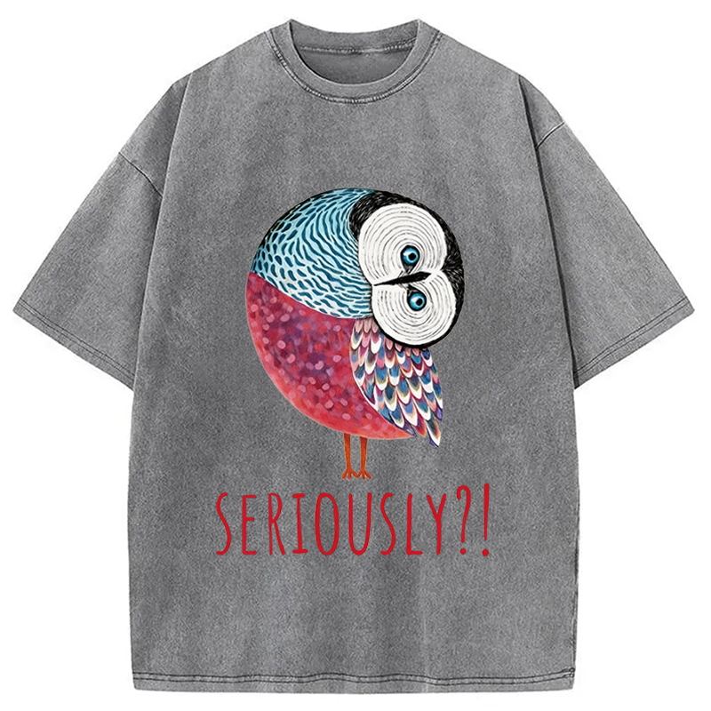 Modecanvas Seriously Art Owl DTG Printing Washed T-Shirt