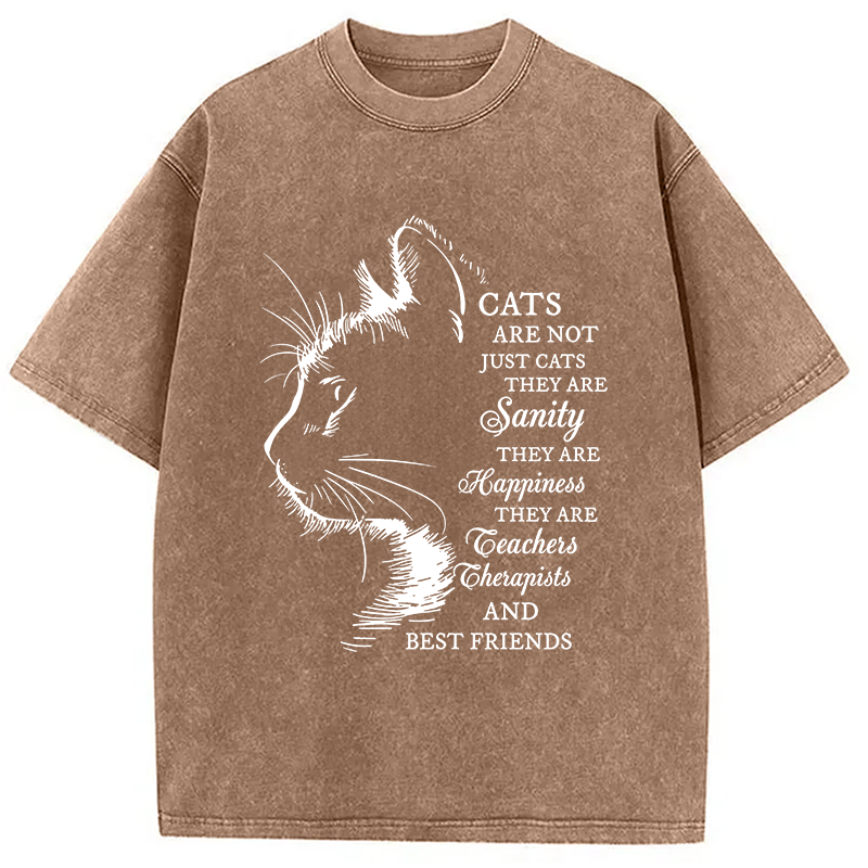 Modecanvas Cat Best Friend DTG Printing Washed T-Shirt