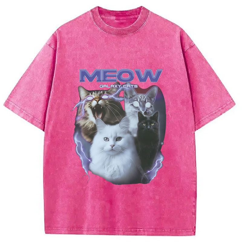 Modecanvas Neow Cat Meme Washed T-Shirt