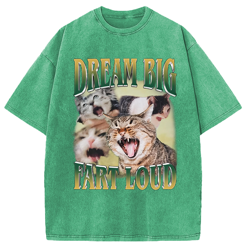 Modecanvas Dream Big Fart Loud Funny Cat Meme DTG Printing Washed T-Shirt