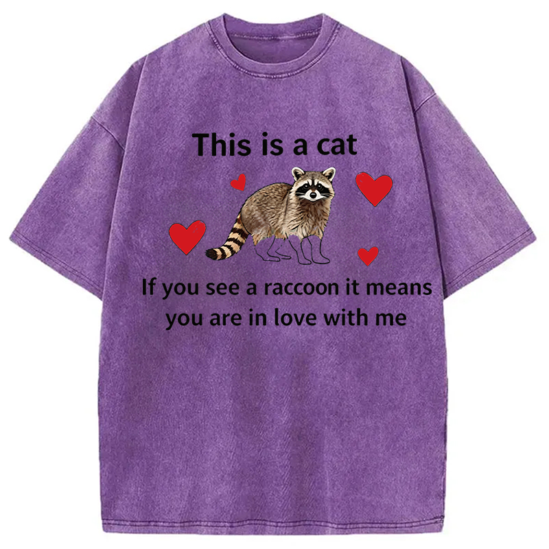 Modecanvas If You See A Raccoon DTG Printing Washed T-Shirt