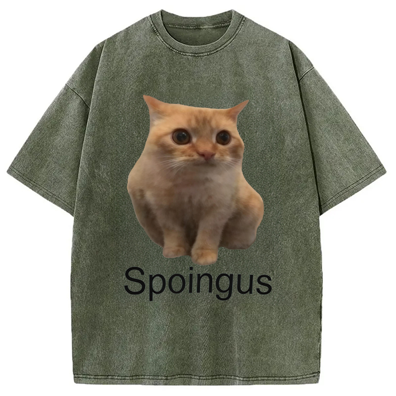 Modecanvas Spoingus The Cat Meme DTG Printing Washed T-Shirt