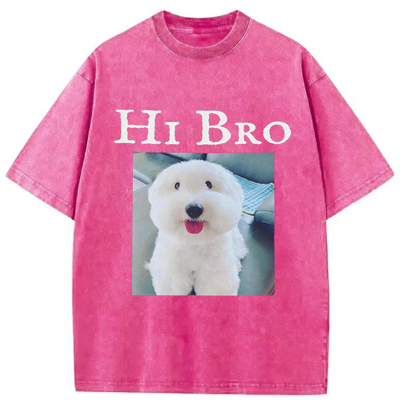 Modecanvas Hi Bro Dog Meme DTG Printing Washed T-Shirt
