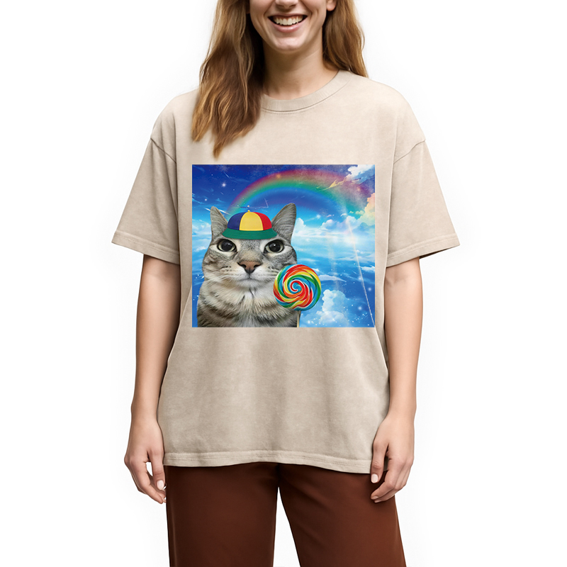 Modecanvas Wholesome Rainbow Cat DTG Printing Washed T-Shirt