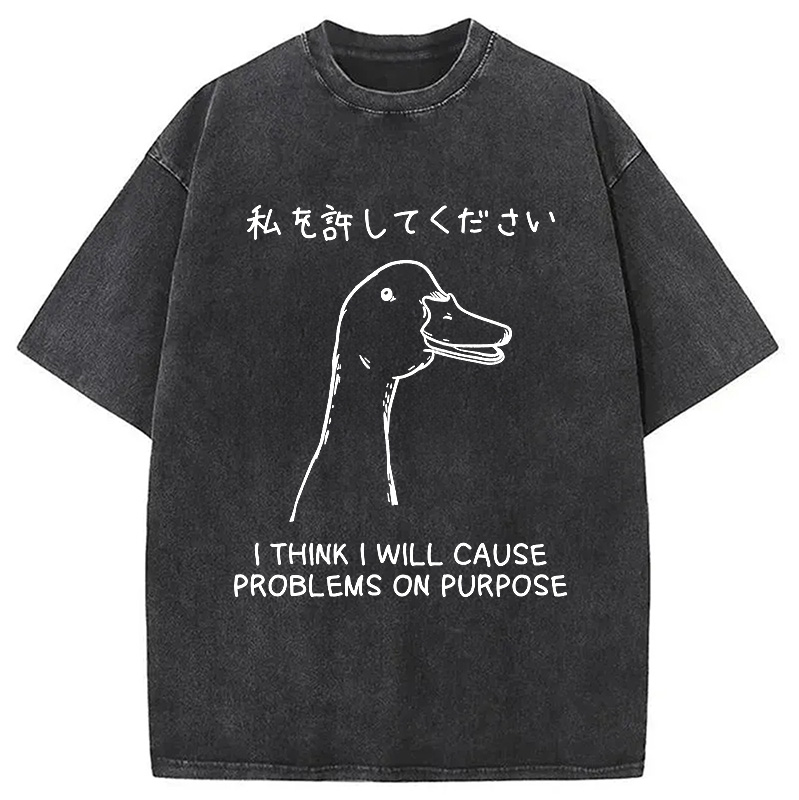 Modecanvas Stupid Goose Funny Japan Washed T-Shirt