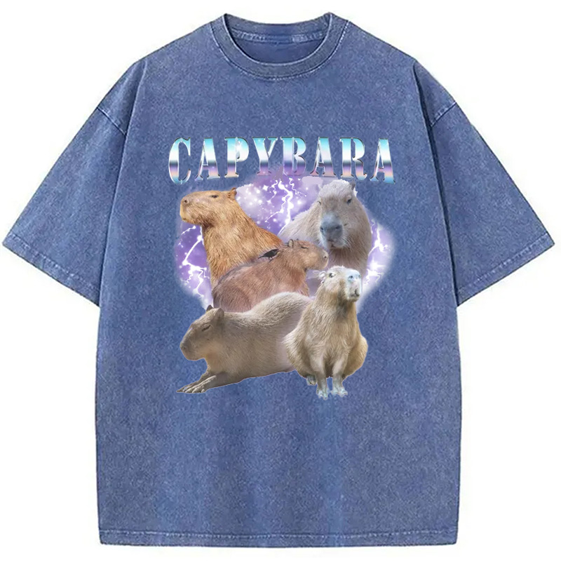 Modecanvas Vintage Capybara Washed T-Shirt