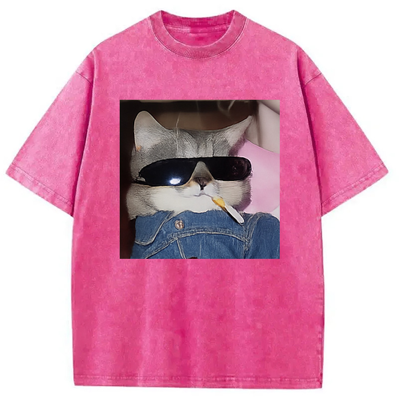 Modecanvas Funny Smoking Cat Meme Washed T-Shirt