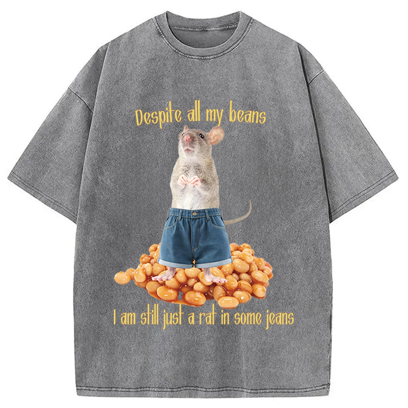 Modecanvas Despite All My Beans DTG Printing Washed T-Shirt