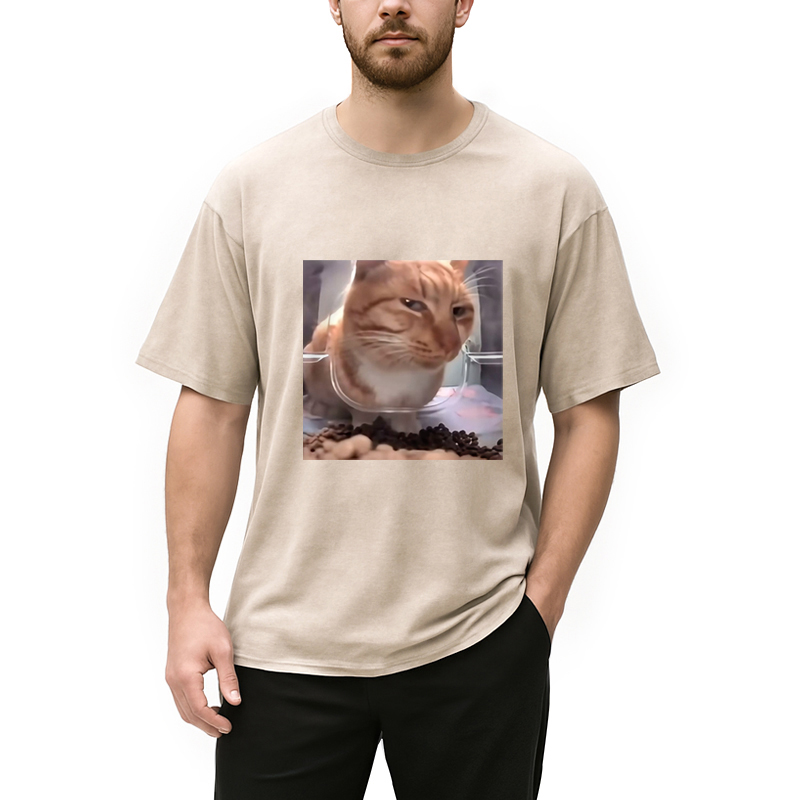 Modecanvas Funny Cat Meme Washed T-Shirt