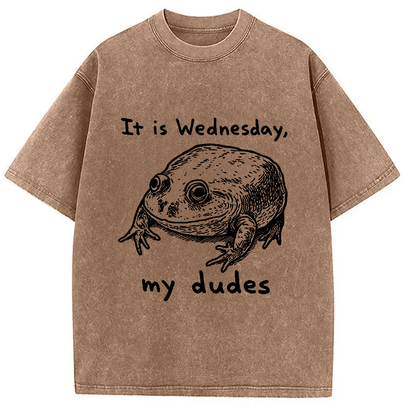 Modecanvas Wednesday Frog Vintage Washed T-Shirt-modecanvas