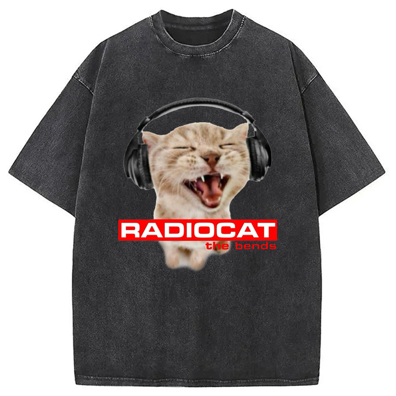 Modecanvas Radiocat The Bends Washed T-Shirt