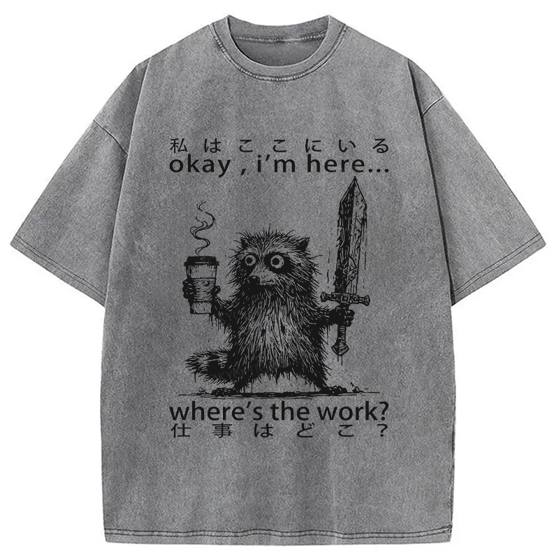 Modecanvas Raccoon Ready To Work Washed T-Shirt