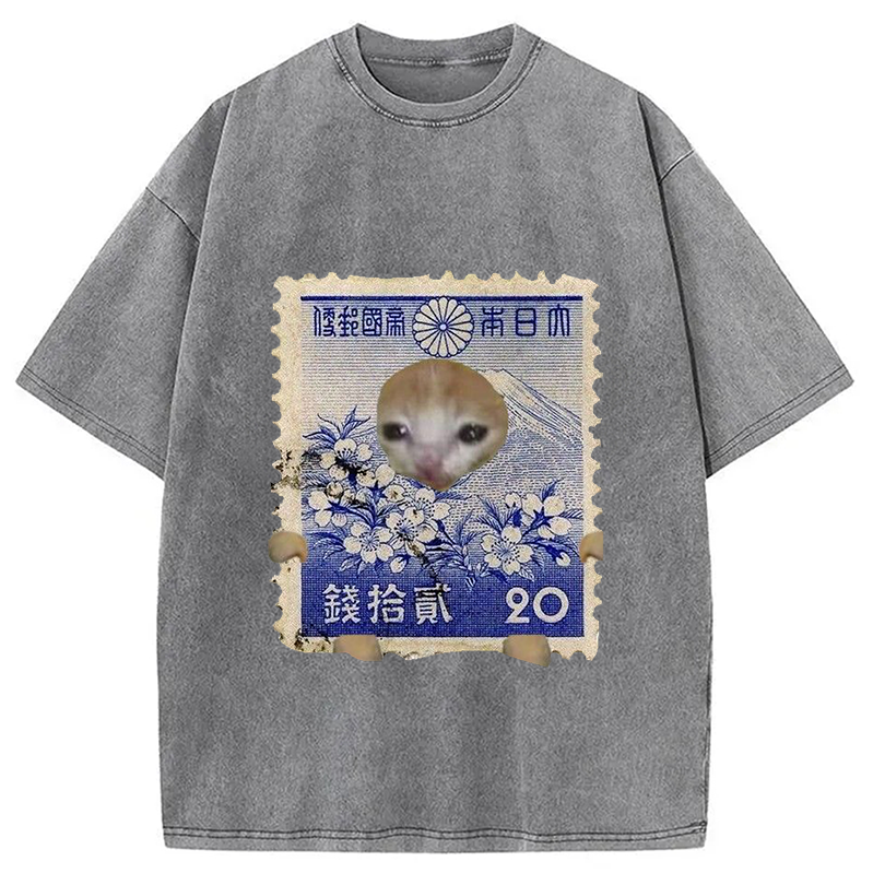Modecanvas Ukiyo-e Cat Meme Washed T-Shirt