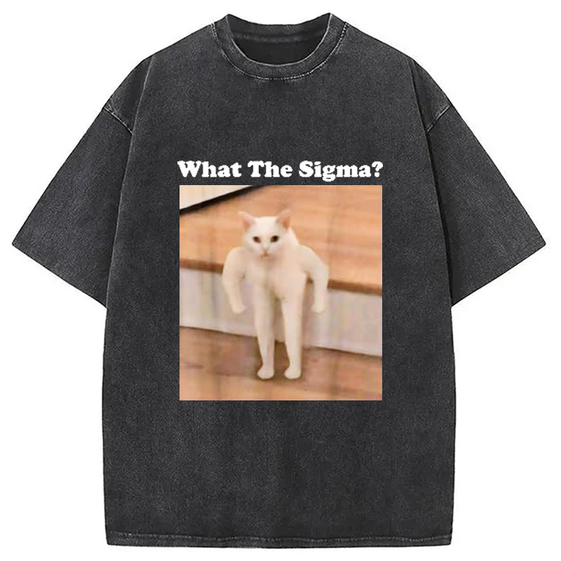 Modecanvas What Sigma Cat Meme Washed T-Shirt