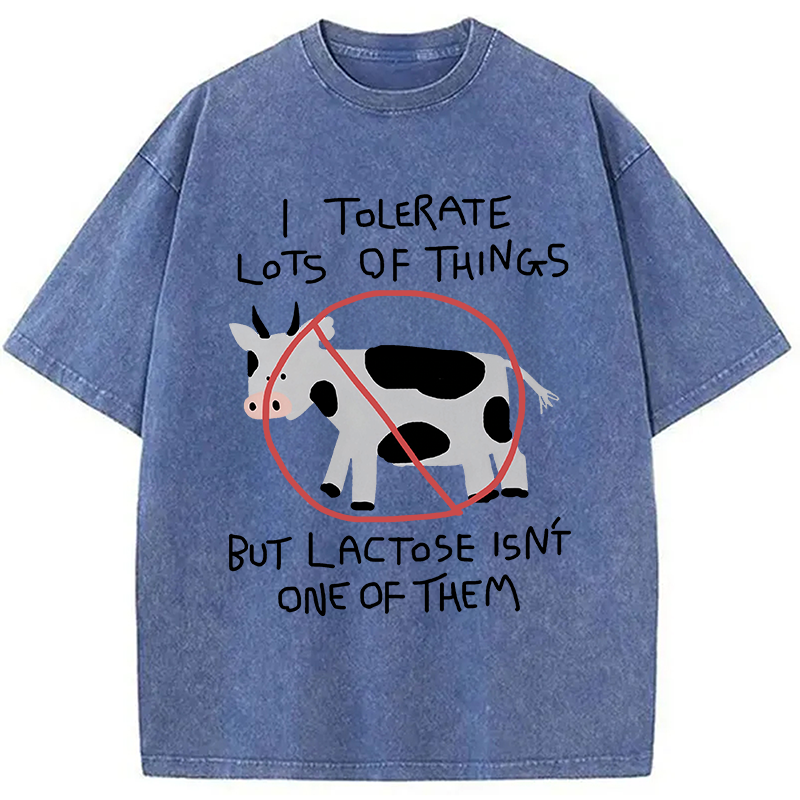 Modecanvas I Tolerate Lots Of Things DTG Printing Washed T-Shirt