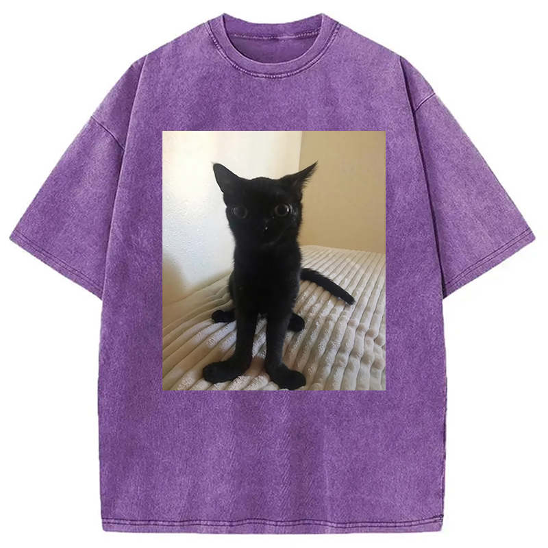 Modecanvas Big Foot Jinx Black Cat Washed T-Shirt