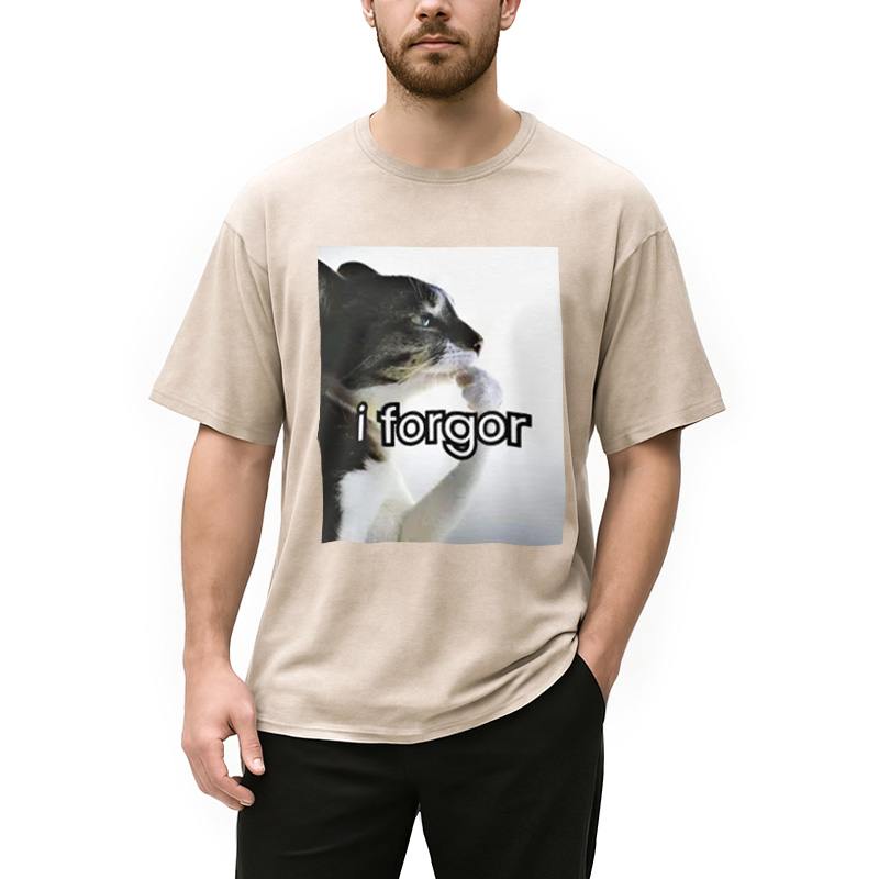 Modecanvas I Forgor Cat Meme Washed T-Shirt