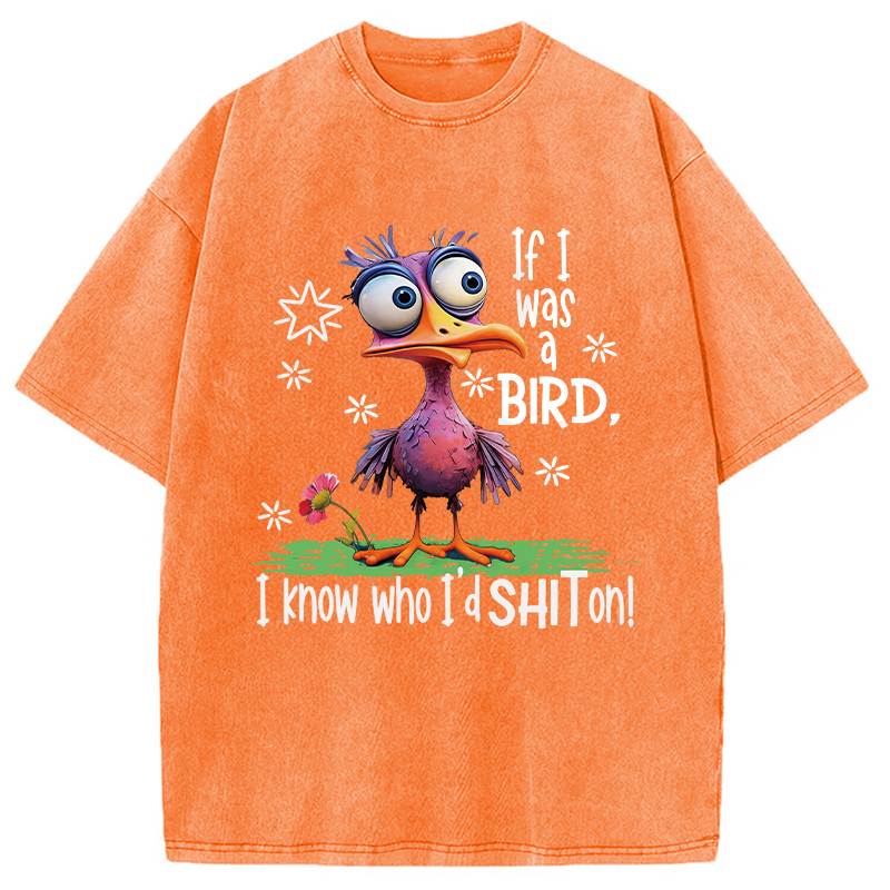 Modecanvas If I Was A Bird DTG Printing Washed T-Shirt