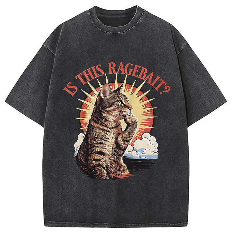 Modecanvas Is This Ragebait? Cat Meme DTG Printing Washed T-Shirt
