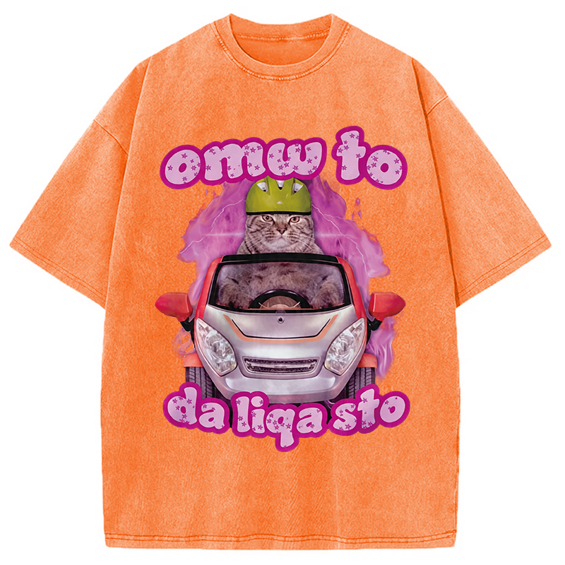 Modecanvas Only The Will To Funny Cat Meme DTG Printing Washed T-Shirt