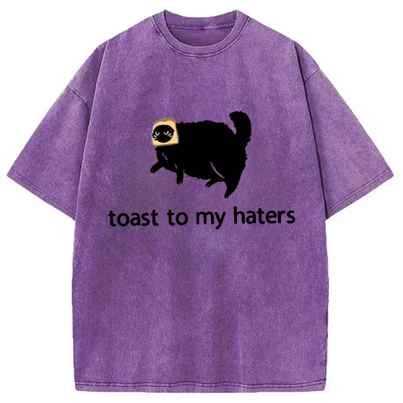 Modecanvas Toast To My Haters Washed T-Shirt