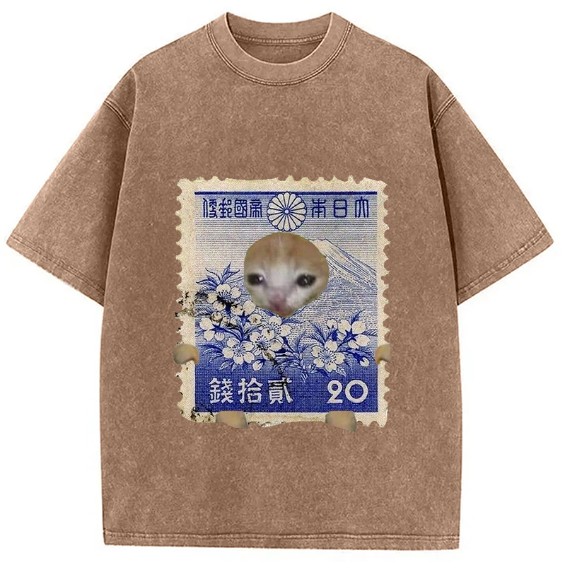 Modecanvas Ukiyo-e Cat Meme Washed T-Shirt