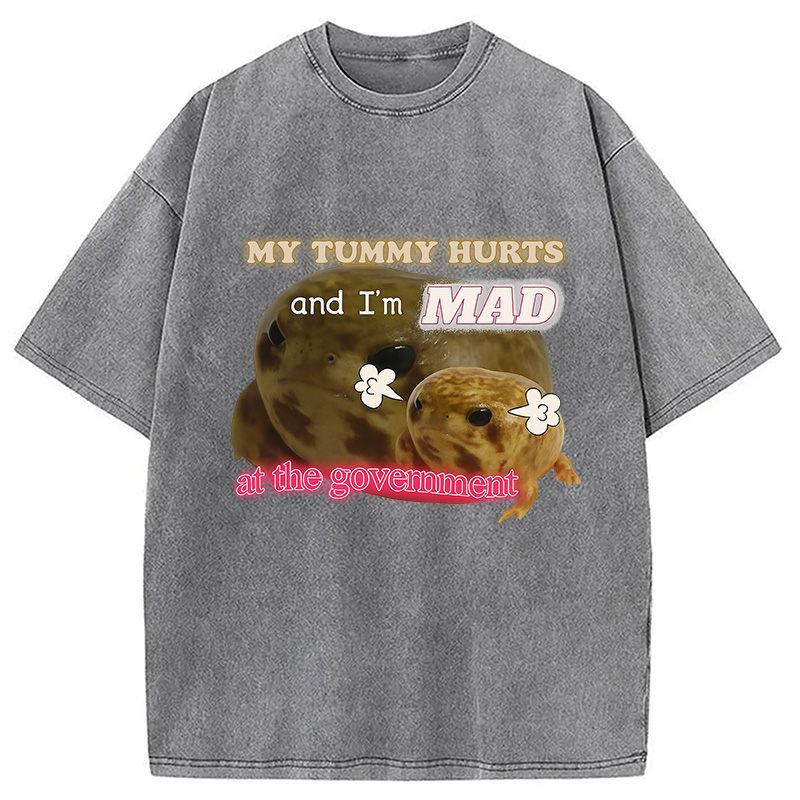 Modecanvas My Tummy Hurts Funny Frog Meme Washed T-Shirt