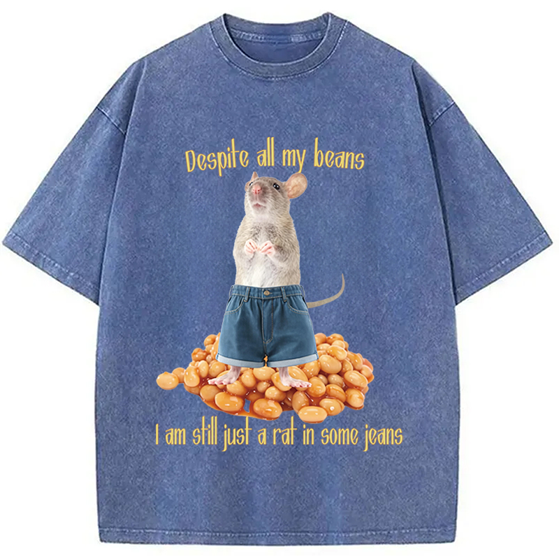 Modecanvas Despite All My Beans DTG Printing Washed T-Shirt
