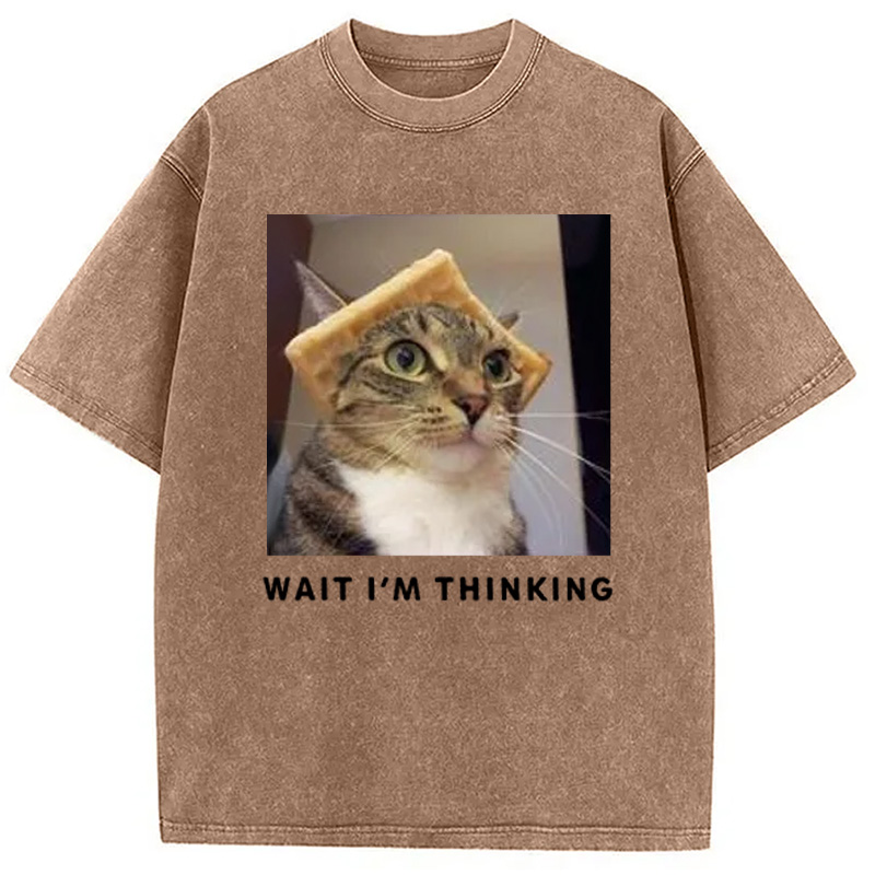 Modecanvas Wait Im Thinking Meme Washed T-Shirt
