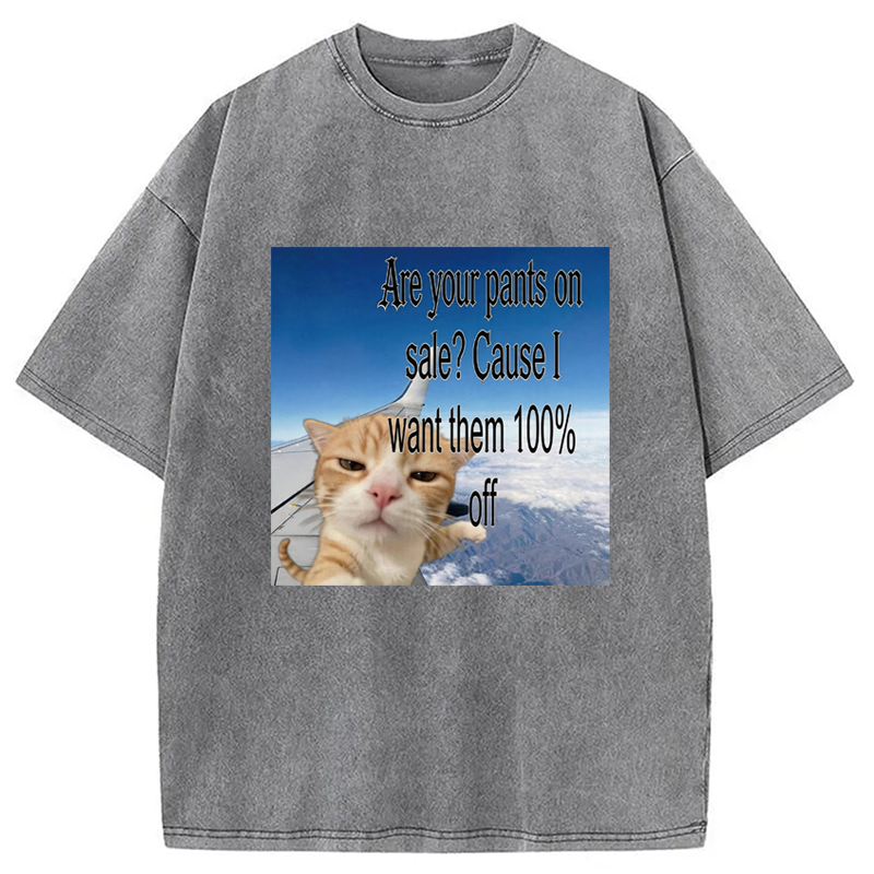 Modecanvas Are Your Pants On Sale? Cause I Want Them 100% Off DTG Printing Washed T-Shirt