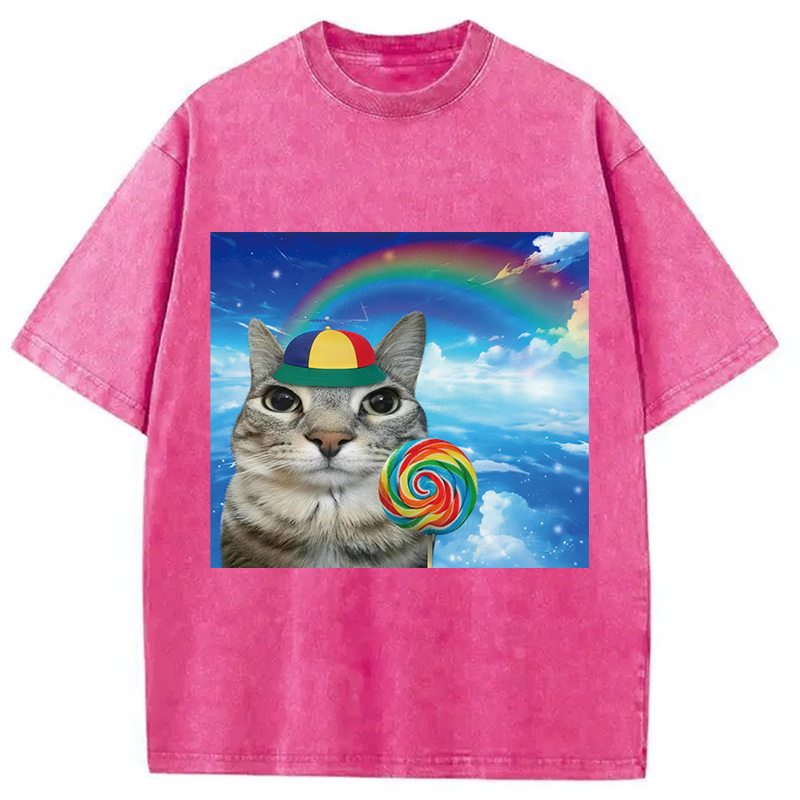 Modecanvas Wholesome Rainbow Cat DTG Printing Washed T-Shirt