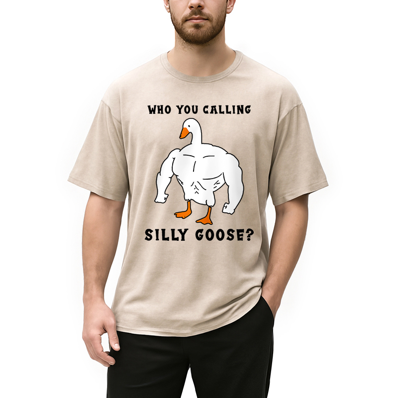 Modecanvas Who You Calling Silly Goose Funny Gym Meme Washed T-Shirt