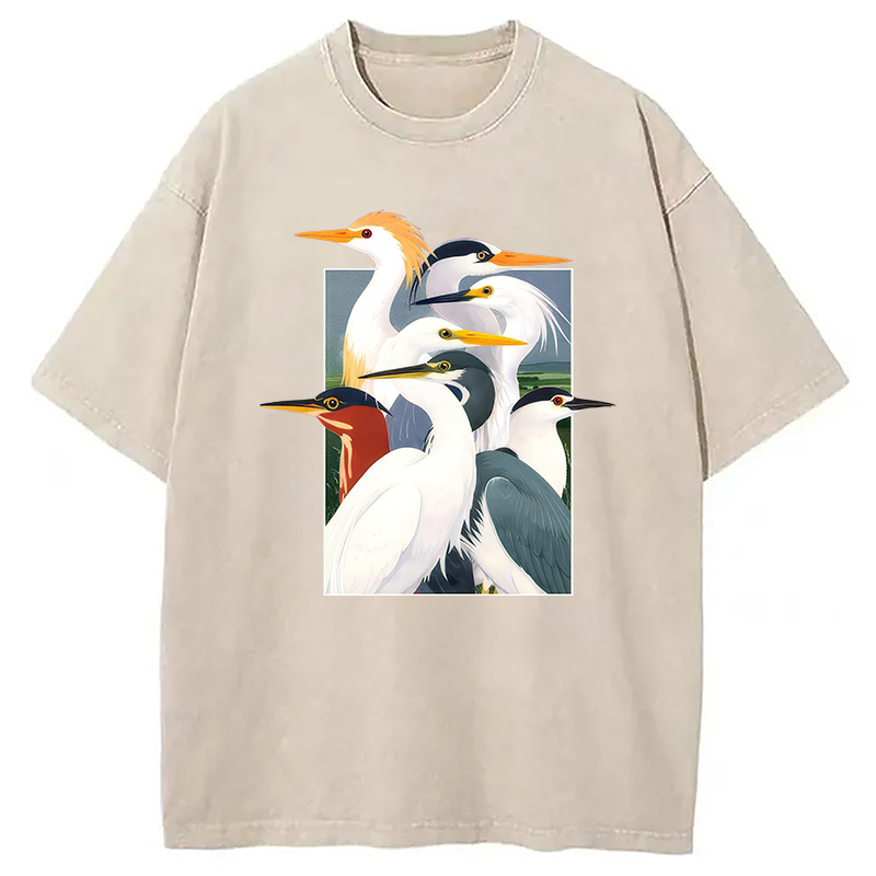 Modecanvas Wetland Assembly DTG Printing Washed T-Shirt