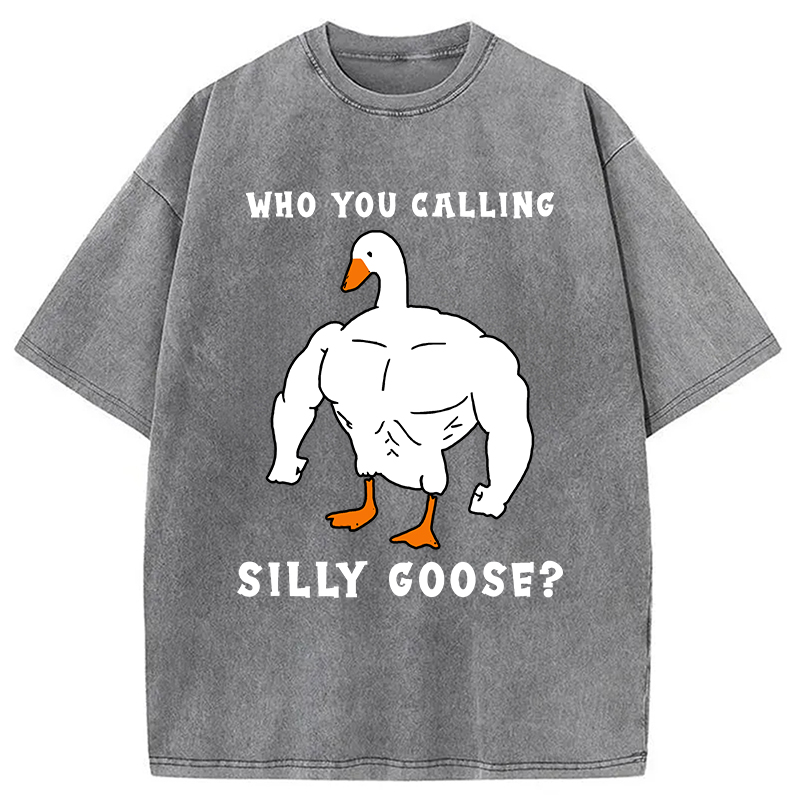 Modecanvas Who You Calling Silly Goose Funny Gym Meme Washed T-Shirt