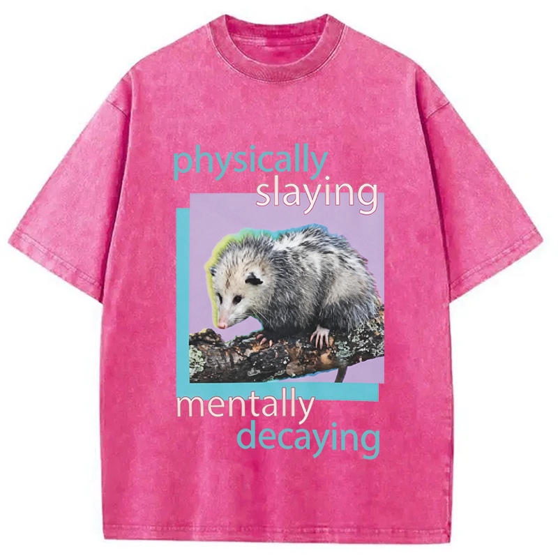 Modecanvas Physically Slaying Mentally Decaying DTG Printing Washed T-Shirt